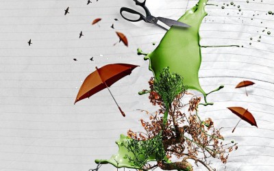 Marketing Advice for Small Businesses and Organizations