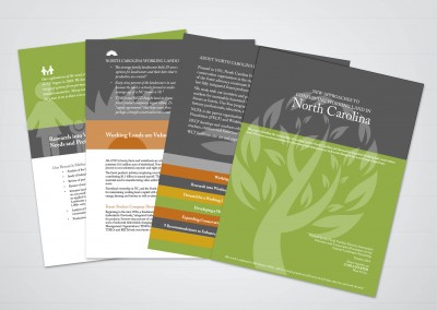 Conservation Easement White Paper